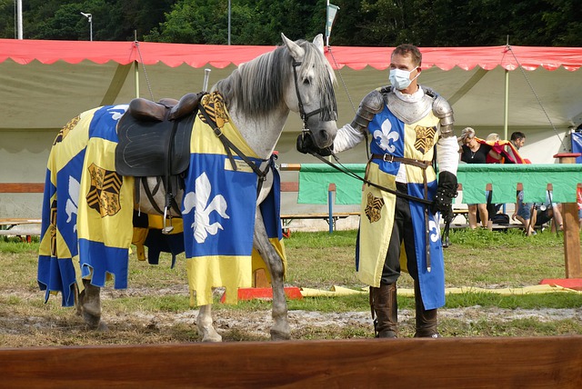 是羽毛球界 是羽毛球界