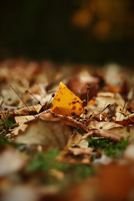 赛季刚刚开 赛季刚刚开