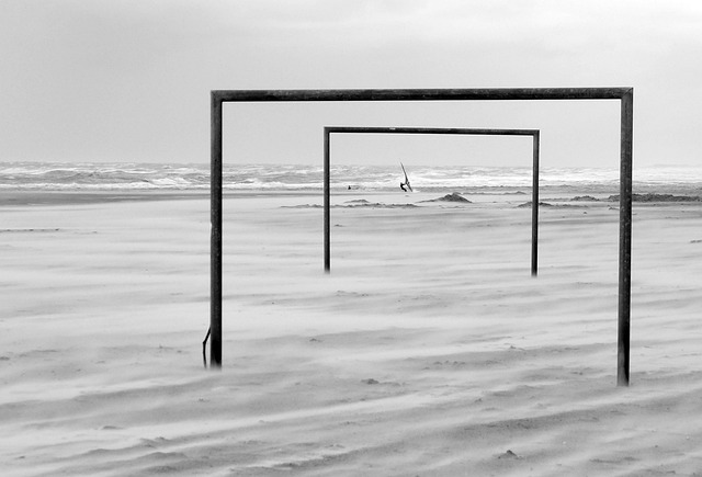 本次首届广 本次首届广