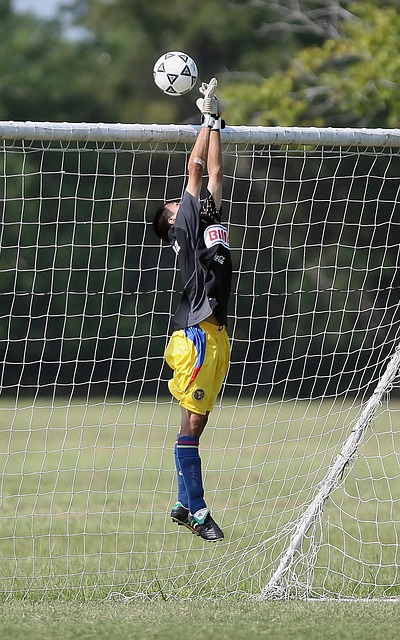 人是如何将 人是如何将