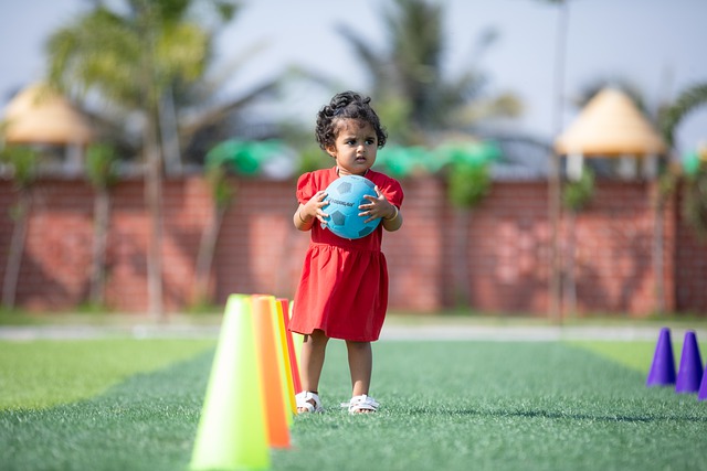 想和情感 想和情感