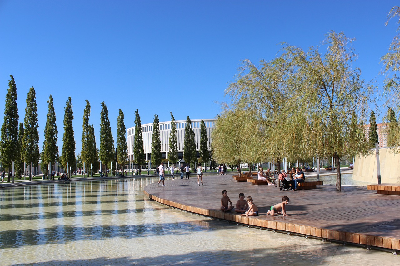 病问题失去 病问题失去