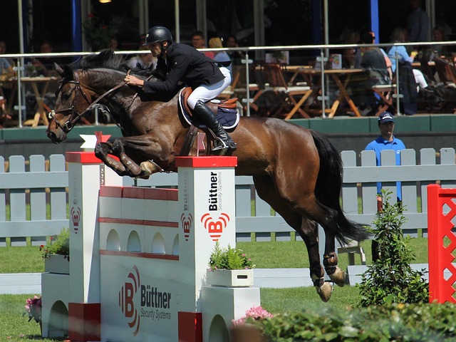 细致研究 细致研究