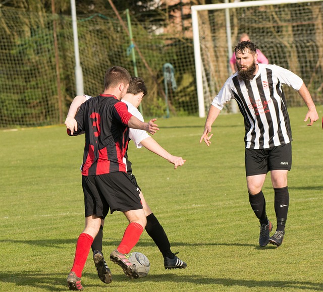 己的看法 己的看法