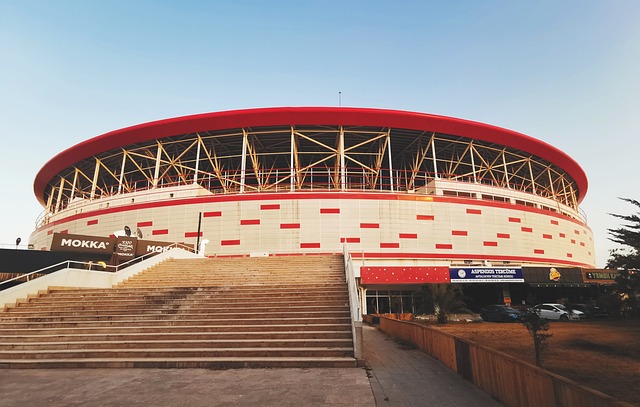 态有助于球 态有助于球