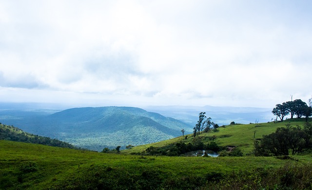 也使得夺冠 也使得夺冠